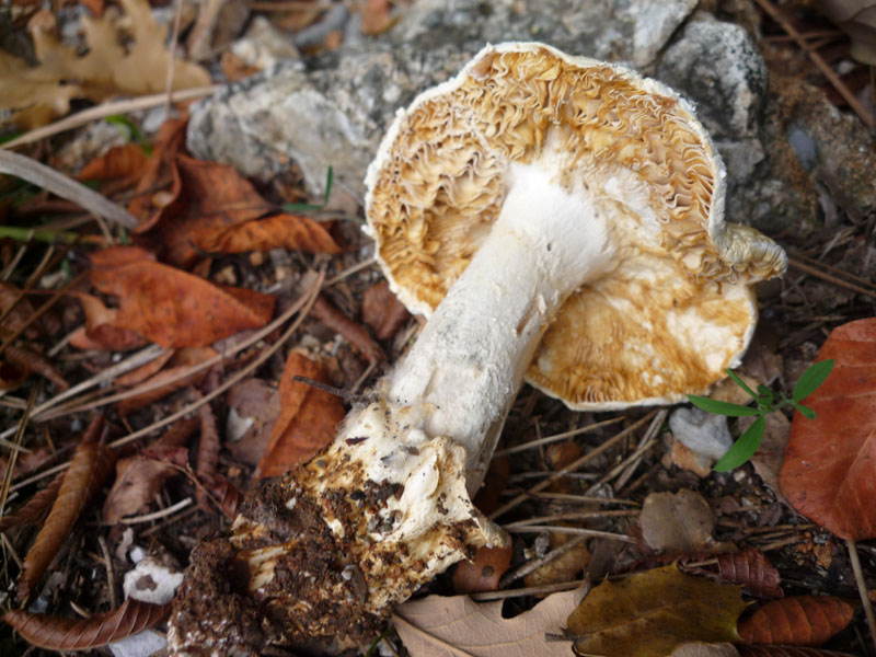 Anche questo che e''?